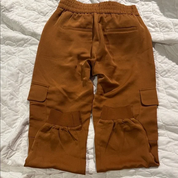 Rust colored Cargo Jogger Pants - Picture 3 of 5